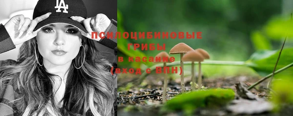трава Медвежьегорск