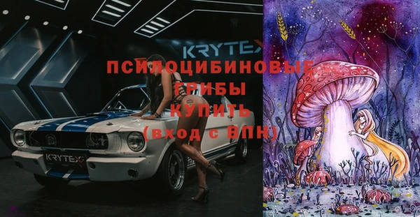 марки nbome Болотное