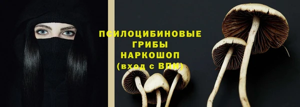 герыч Мегион