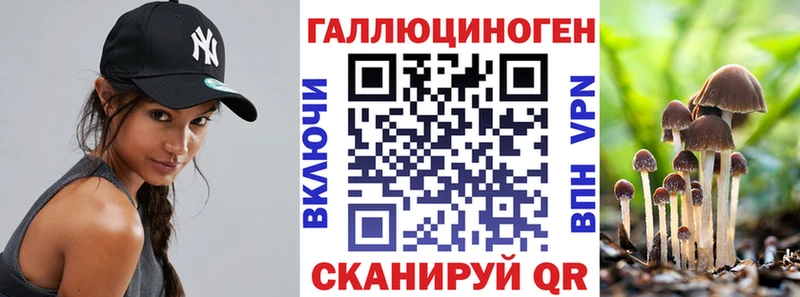 Галлюциногенные грибы Cubensis  кракен tor  Николаевск-на-Амуре 